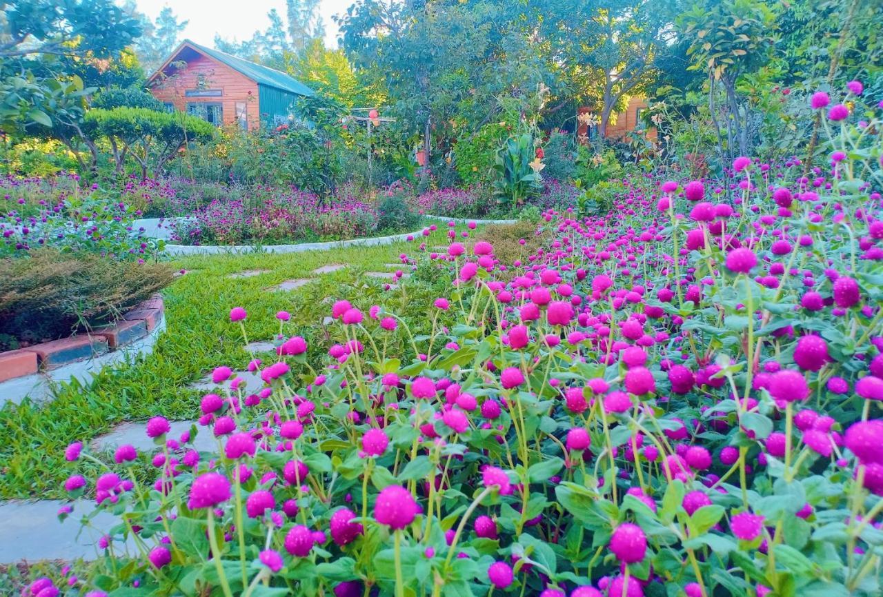 Co To Homestay 368 Đảo Cô Tô Eksteriør billede